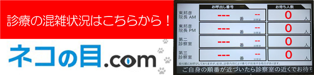 ネコの目.com